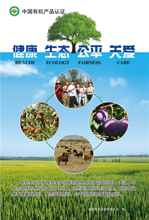 8C289B62EFB63047BEF637C6687E20F7_副本_副本.jpg