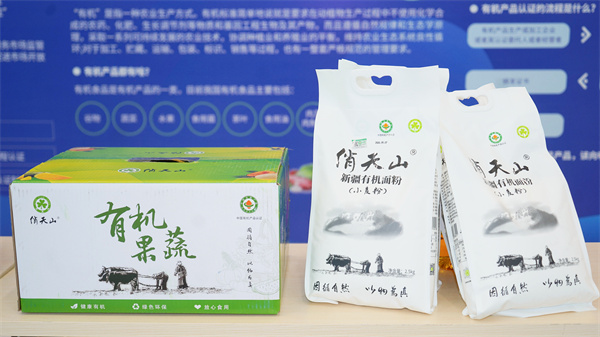 照片6.jpg