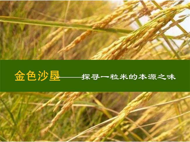 企业简介01.jpg