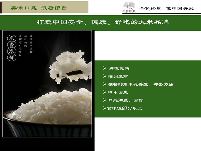 企业简介08.jpg