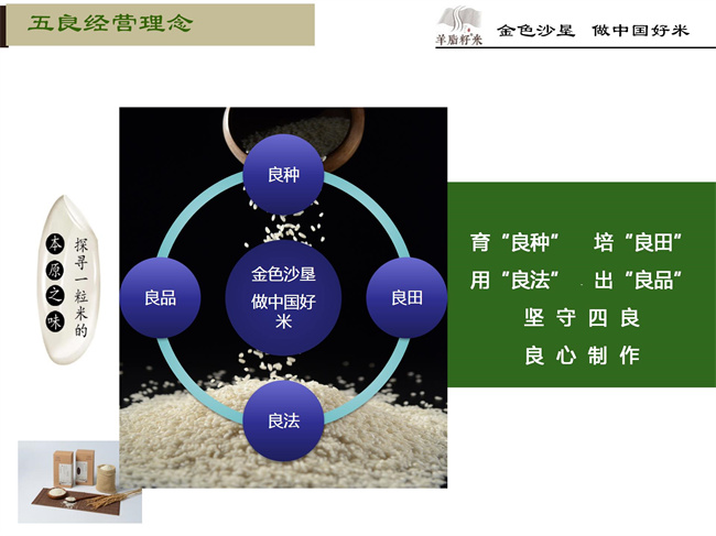 企业简介09.jpg
