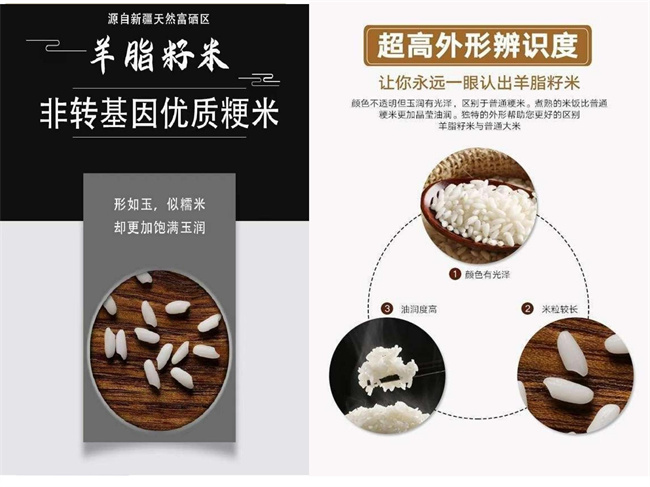 企业简介11.jpg
