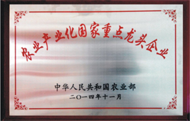 图4.jpg