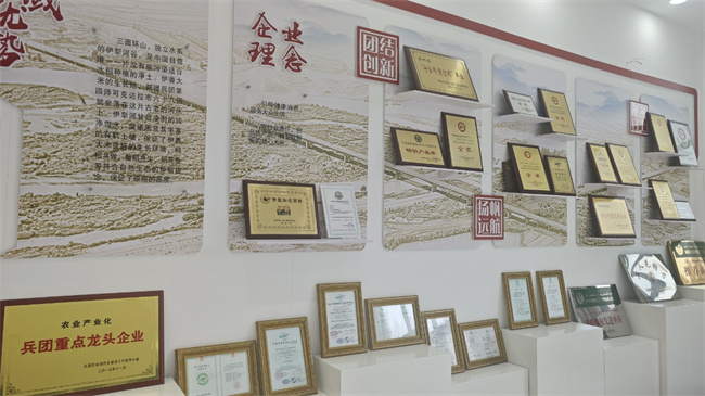 图7.jpg