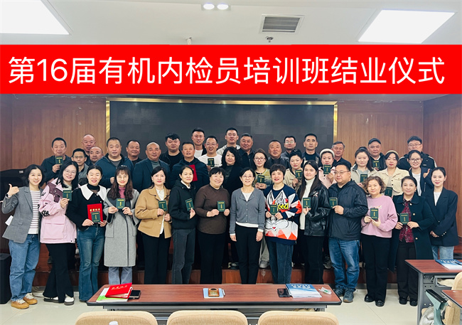 图33.jpg