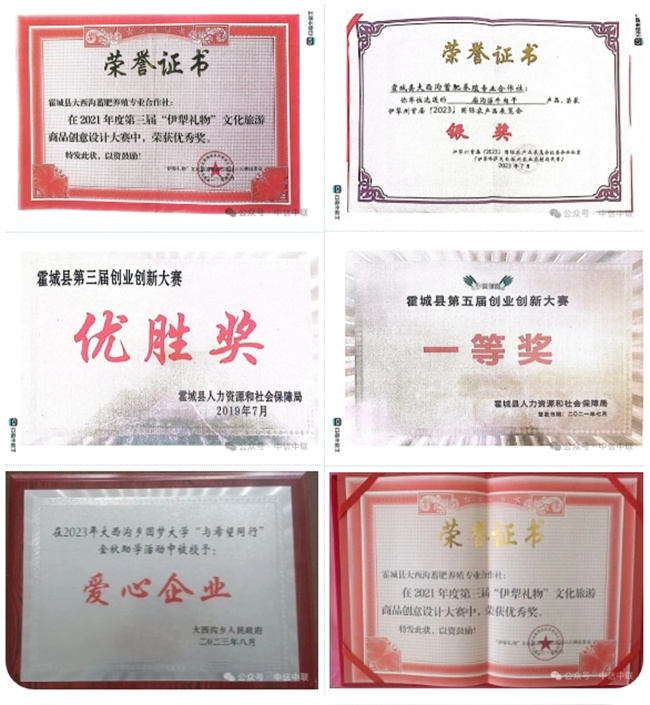 荣誉-1.jpg
